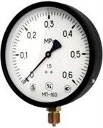 Манометр радиальный ЗТП Минск, размер 1/2", ф 160 мм, 0-25 бар